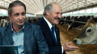 Лукашэнку паказалі, як павінна працаваць сапраўдная малочная ферма