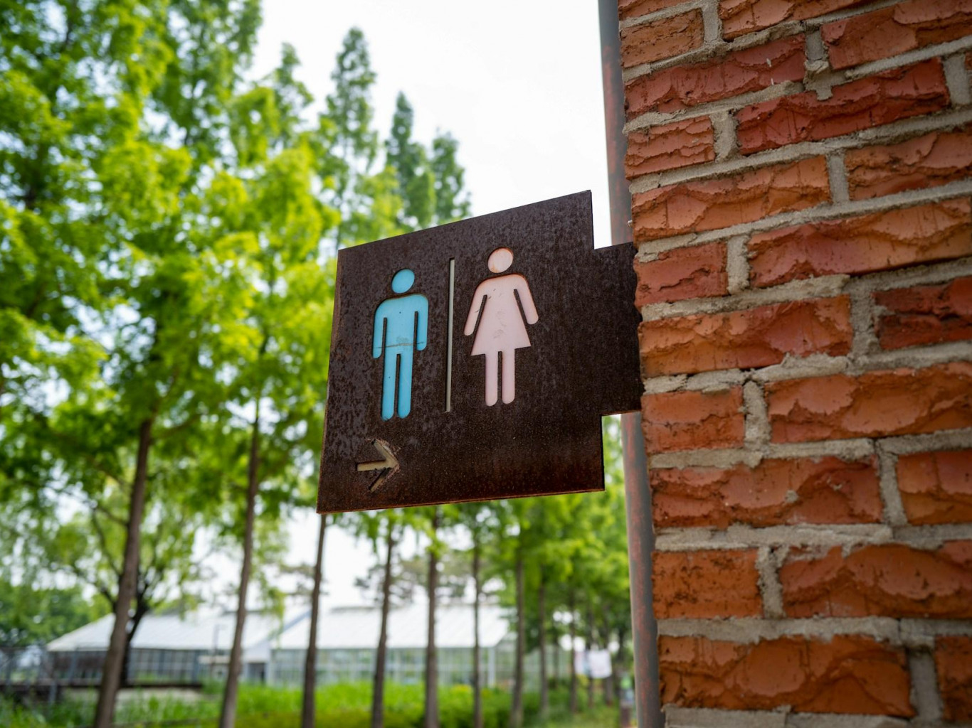 “Zemlya Nasha” passed off restroom instructions as a poster for checking “Banderite” ties