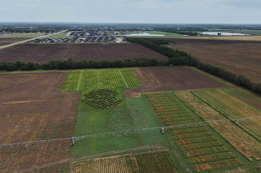Мільён гектараў за два месяцы? Як у «Клубе рэдактараў» раздалі ўкраінскую зямлю замежнікам