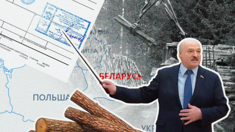 Фальшивка, сделанная в Беларуси. Как европейские пограничники пропускают санкционный лес